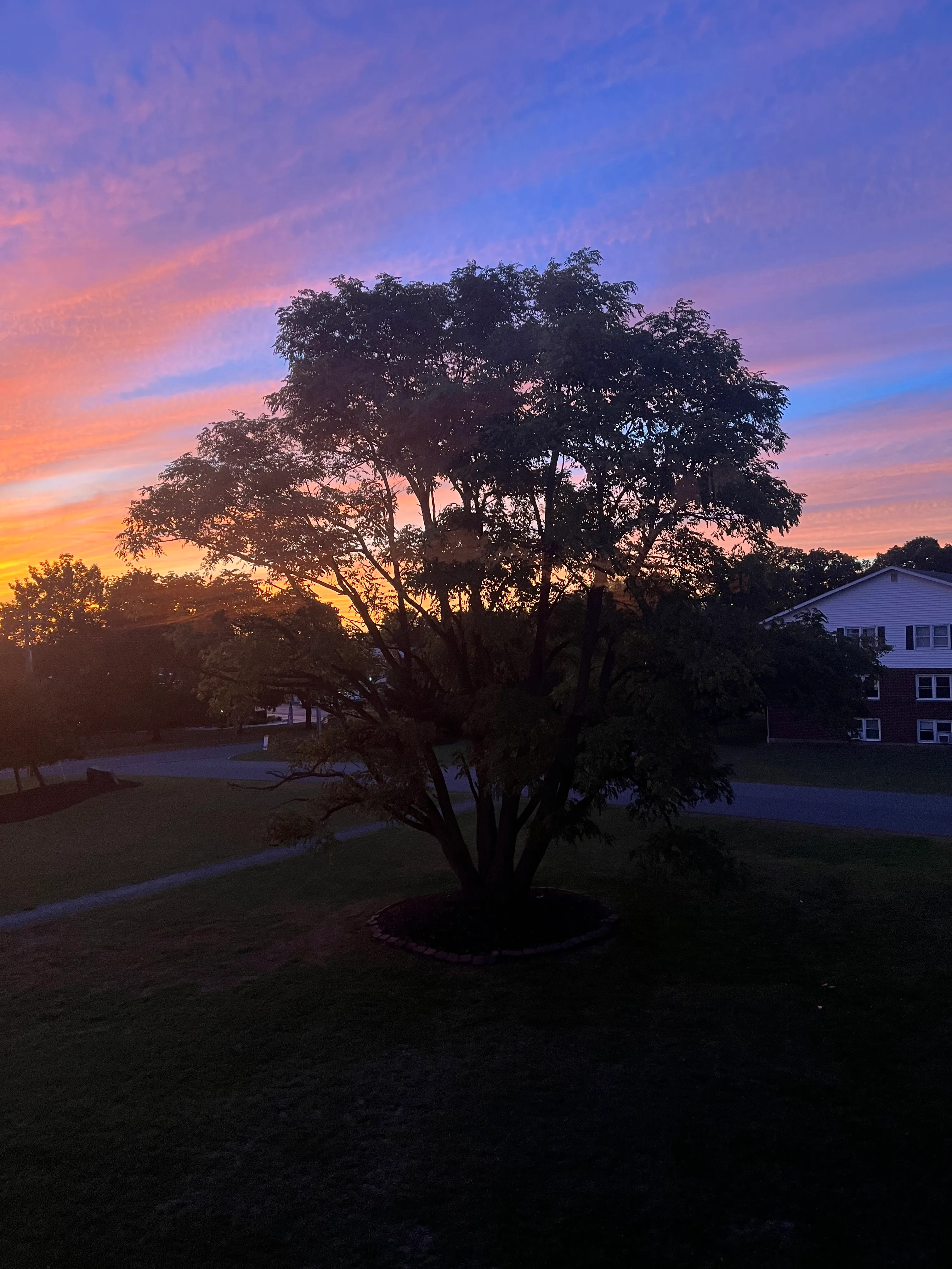 研报 | 公开行业报告资源合集