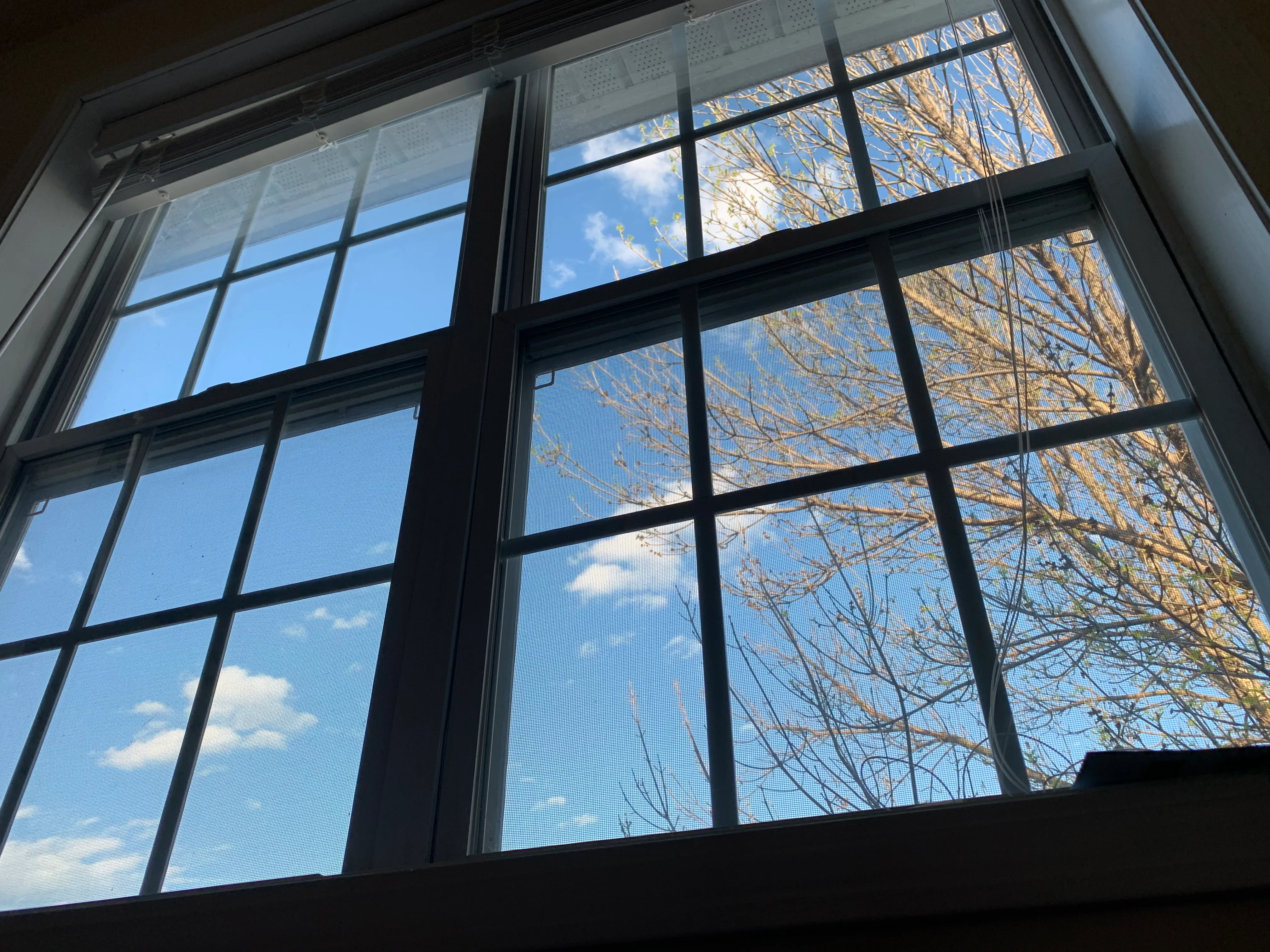 关于大量阅读的一些思考